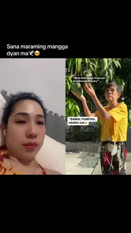 #duet with @Mommy Alley💎 #mamainheaven #griefjourney #mommyalleygriefjourney #nanaygloriainheaven🤍 