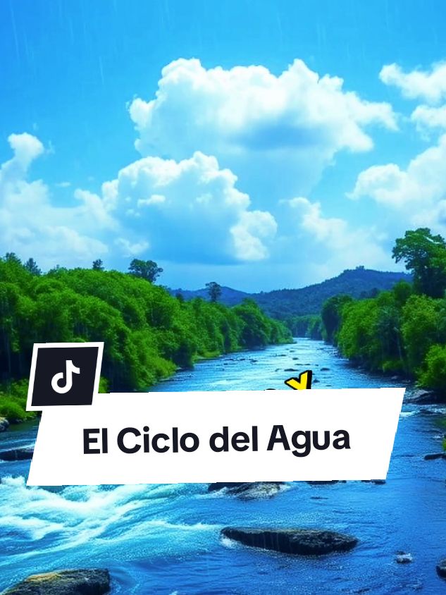 El Ciclo del Agua! Explicado en 60 segundos #datoscientificos #datoscuriosos #cienciatiktok #ciencia #cienciaparatodos #biologia #cienciaentiktok #cienciafacil 