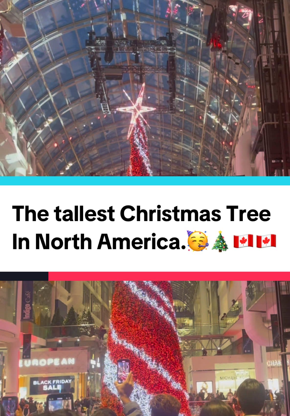 The tallest Christmas Tree in North America.🥳🎄🇨🇦🇨🇦🇨🇦🇨🇦🇨🇦🇨🇦🇨🇦#toronto #canada #foryou #thingstodointoronto #canadalife #christmas #torontolife #tiktokchallenge2024 #followers #thisiscanada #travelcanada #🎄❄️🎁🎅 #fyp 