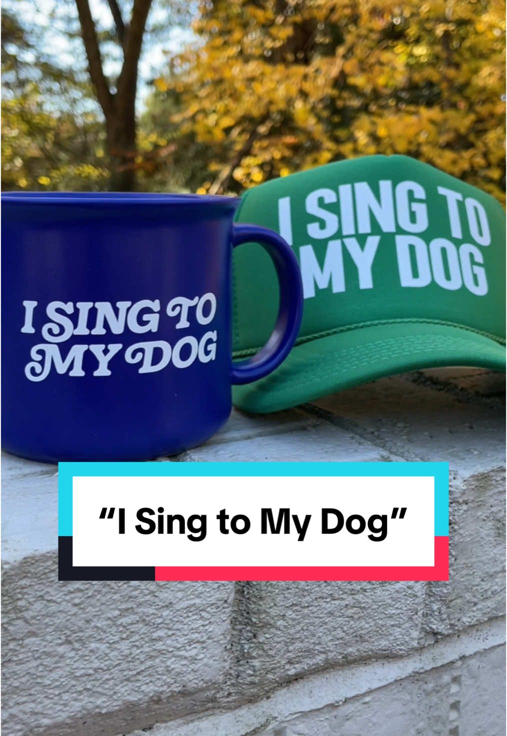 25% off all “I Sing to My Dog” goodies thru Monday 12/2 🐕🎶 #fyp #puppysongs #isingtomydog 