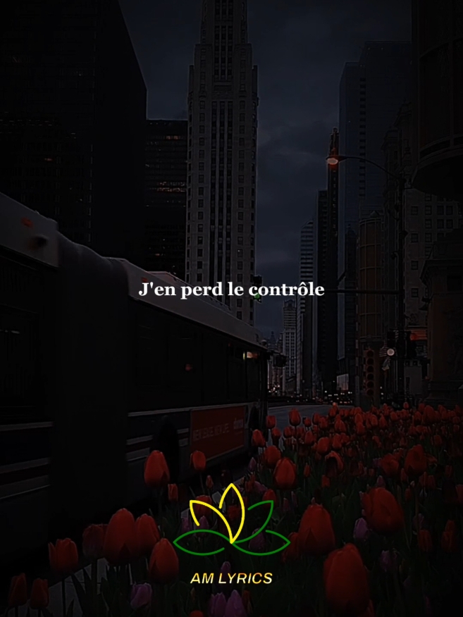 J'en perds le contrôle #lyric #lyrics_songs #fyp #musica #song @OG_LYRICS_FR 🎤💪 @XL LYRICS 💪🎤 