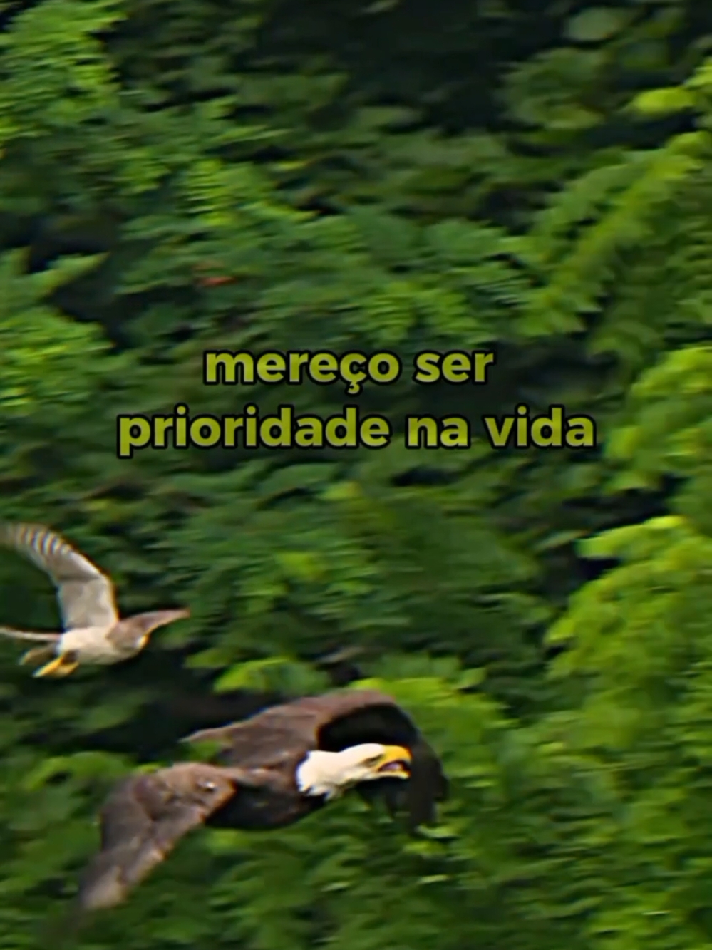 não aceite menos do que merece. #reflexaododia  #reflexaodevida  #sabedoriadeaguiaa  #sabedoria  #sevalorize #tiktokmotivacional 