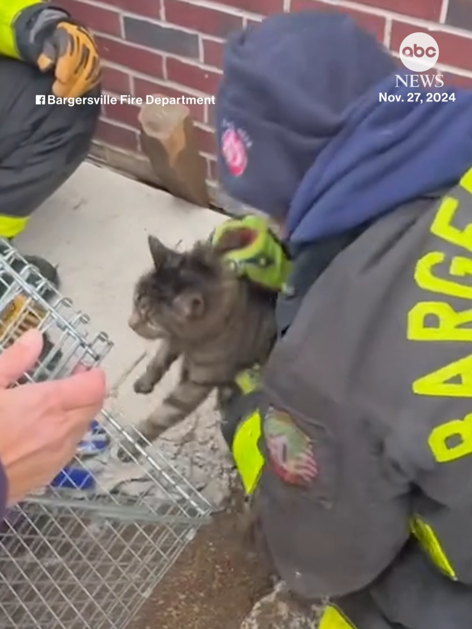 A cat is recovering after Indiana firefighters rescued her from between the foundation of a home and patio after being trapped for about six days.