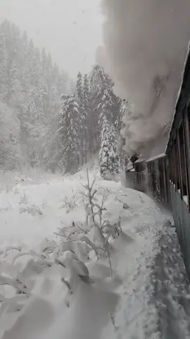 What is it about a winter storm that stirs something ancient in the soul? The Vaser Valley, cloaked in its alabaster raiment, offers a tableau of unearthly splendor. Here, amidst the Maramureș wilds, the venerable Mocănița train, a relic of steam and iron, threads its way through the vortex of snow. Each whistle is a hymn to forgotten epochs, each puff of smoke a specter lost in the whorls of a celestial blizzard. It doesn’t merely move through the storm—it communes with it, drawing the heavens to earth in a cosmic embrace. The narrow-gauge railway, one of Europe’s last steam-driven lifelines, stretches through 60 kilometers of untouched wilderness. Built in the 1930s to ferry lumber, it now transports dreamers and wanderers. This route through the Carpathians, cutting through primal forests and shadowed gorges, transforms in winter into a realm of otherworldly phantasmagoria. Icicles hang like nature’s chandeliers, crystalline and cruel. Snowfall cascades in curtains, obscuring the sun and transmuting the landscape into a monochrome opalescence. The air hums with the clang of iron wheels on steel rails, a haunting cadence that echoes across the valley. It is not merely a train ride—it is an odyssey through the sublime. How often does one have the chance to journey through a landscape where the elements themselves seem alive, dancing and conspiring with the earth below and sky above? As the Mocănița presses onward, you wonder: is it pulling us into the past, or into some dreamscape that exists beyond time? Video by @sz.monika  [ Maramureș Wilderness, Steam Train, Mocănița, Winter Journeys, Vaser Valley Railway, Carpathian Snowstorm, Romanian History, Heritage Railways, Mountain Landscapes, Rustic Charm, Nature’s Beauty, Hidden Romania, European Gems, Snow Adventures, Forest Mystique, Timeless Travel, Iron Horse, Alpine Splendor, Remote Valleys, Winter Solitude ] #romania #vaservalley #mocanita #steamtrain #winterwonderland #travel #snowstorm #romaniatravel #carpathians #hiddenromania