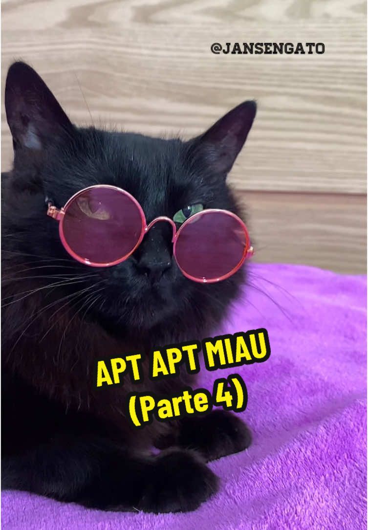 APT APT MIAU MIAU #rosé #brunomars