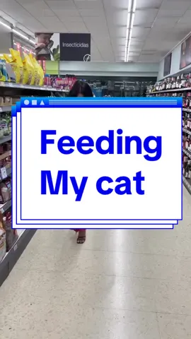 I got a new cat #laugh #haha #comedу #jokes #viral 