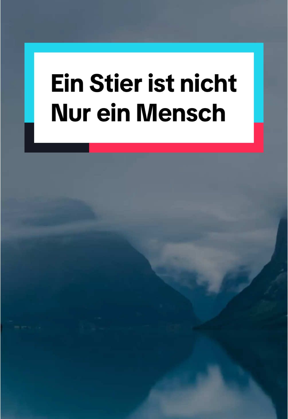 Ein Stier ist nicht nur ein Mensch… #astrologie #sternzeichen #horoskop #tierkreiszeichen 