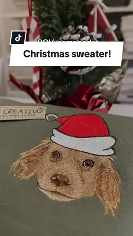 The cutest thing ever!! Move over, ugly sweaters! 🎄🎁 #dogmomgiftideas #dogchristmas #petchristmasgift #handmadechristmasgift #dogsanta #dogsantaphotos #uglysweaters #christmassweater 