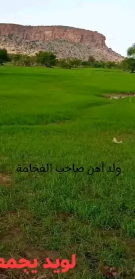 ولد أهن صاحب الفخامة 