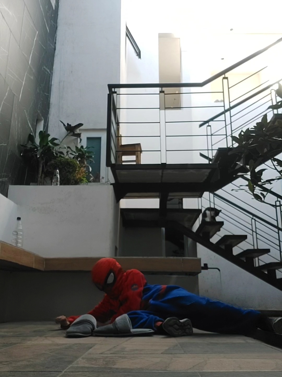 Aunque no lo crean, mi tía si se cayó de las escaleras xD, y yo también la otra vez, me sangre la nariz y ahora la tengo chueca, y también la nariz🥵XD#humor #SpiderMan #pinchetiktokponmeenparati #fypシ #foryoupage #fyp 