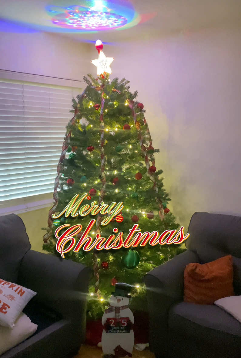 This years christmas tree 🎄😊 #christmas #christmastree #sahm #mom #MomsofTikTok #fyp #fypシ 