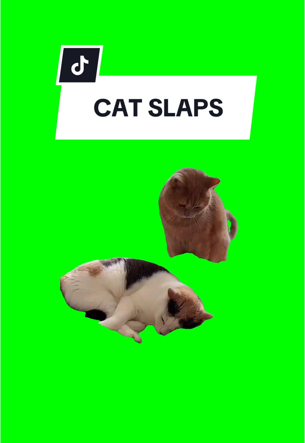 #CapCut CAT SLAPS. #greenscreen #greenscreenvideo #greenscreenoverlays #fyp #fyppage #fypシ❤️💞❤️ #meme #memes #memestagram #freefirememe #memepage #viral #viralvideos #viralreels #viralvideo #viralpost #meme2024 #cat #cats #catsofinstagram #catlover #catmemes #catmeme #trend #trending #viralcats #slapping 