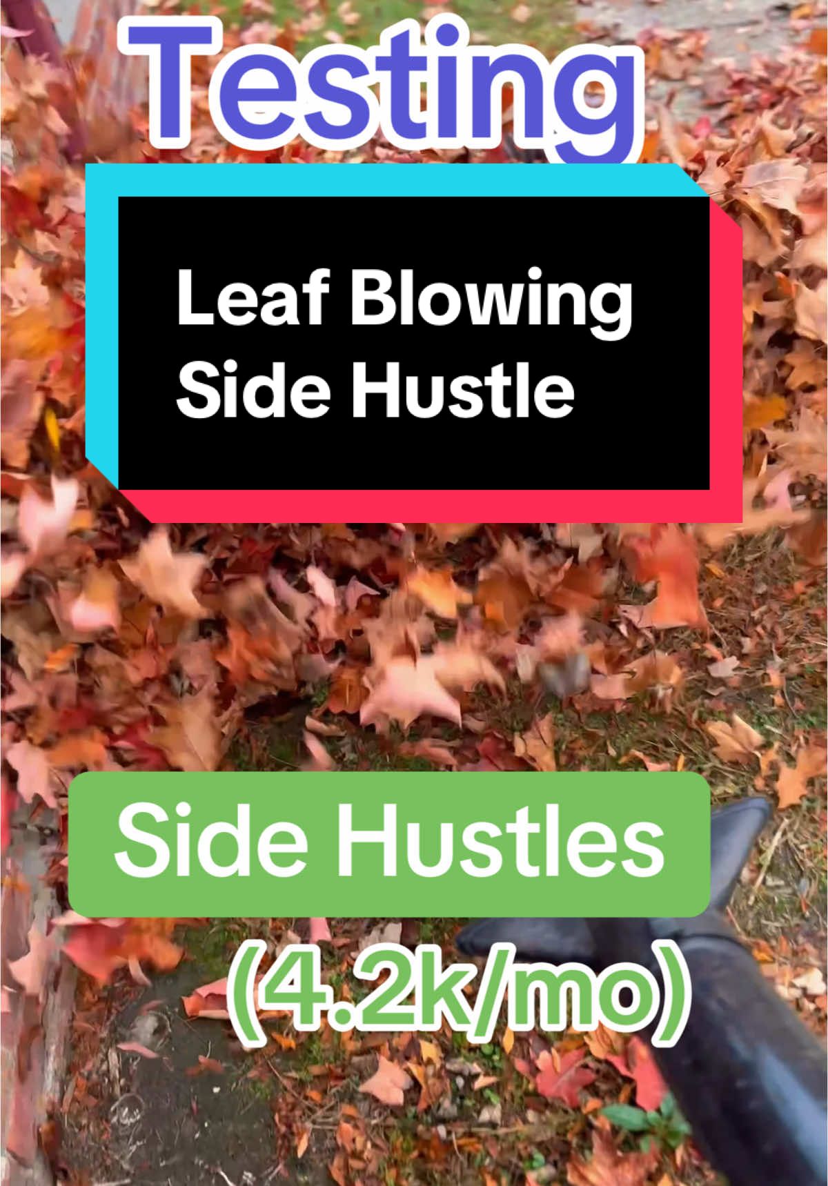 me n my friends used to always do this side hustle & we would make BANK 💰 Do you think this leaf blowing side hustle is worth it? 🤔🍂 #sidehustle #sidehustleideas #fall #leafblower #moneymakingideas 