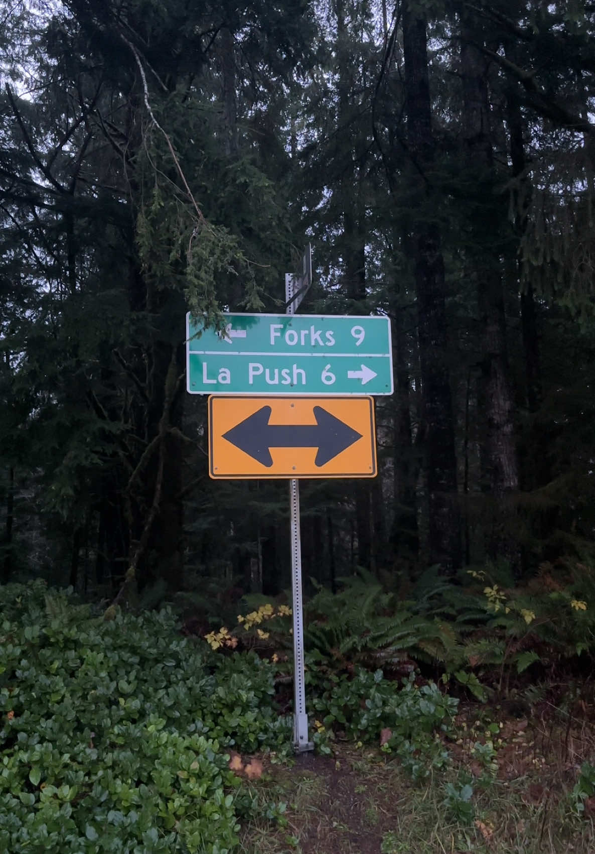 i love the olympic peninsula #forkswashington 