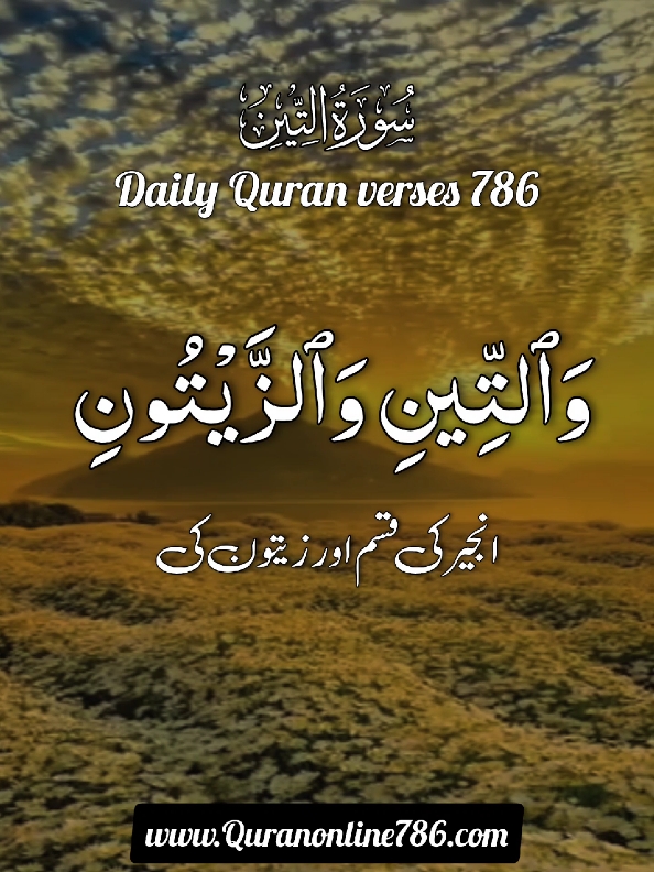 القرآن الکریم 🌹🌹❤ #quran #quranicquotes #islamicreminders #islamicreelsvideo #islamicquotes #quran #islamicquotes #quran #islamicreminder #please #quran_kareem #quranrecitation #islamicreminder #quranonline786 