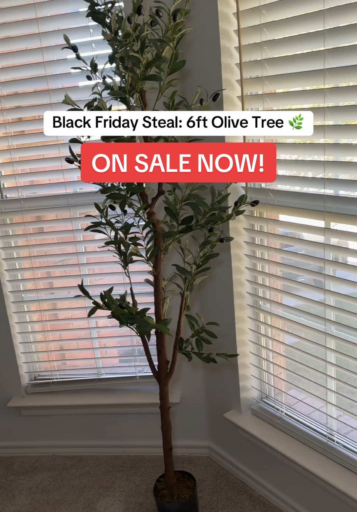 This 6ft artificial olive tree is a game-changer for home decor! 🍃 Perfect for indoor & outdoor spaces, with a natural wood trunk and lifelike fruits. Don’t miss outnon this Black Friday Sale❗️ #blackfridaydeals #tiktokmademebuyit #artificialplants #homedecorideas #budgetfriendly #decorlovers #blackfridaysale #holidaysale #tiktokshopping #creatorsearchinsights 