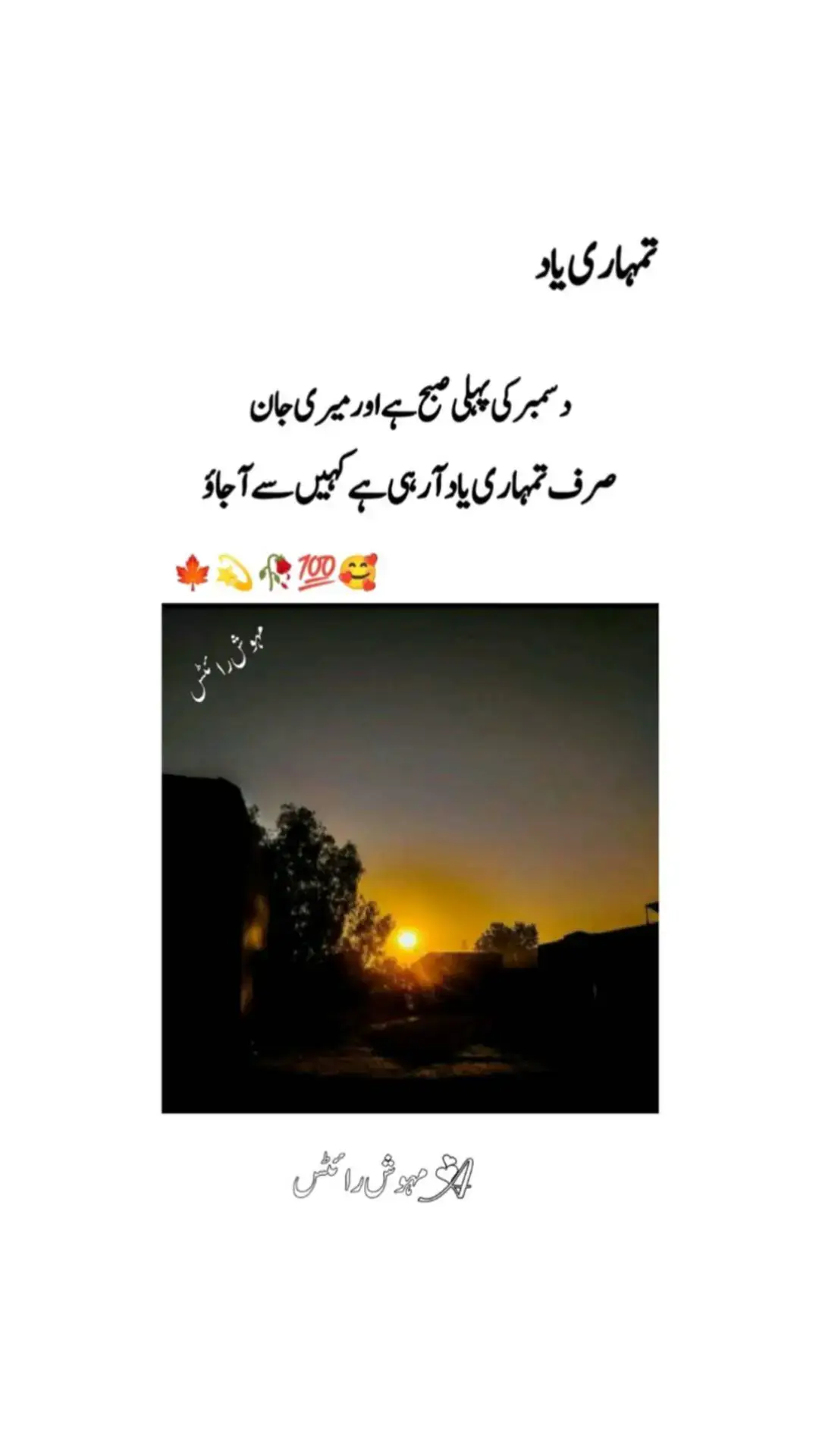 sard mosam hi#fouryoupage #fouryou #standwithkashmir #tiktokpakistan #🌟✨❤️💞🥰 #🌎🌎🥰🥰 