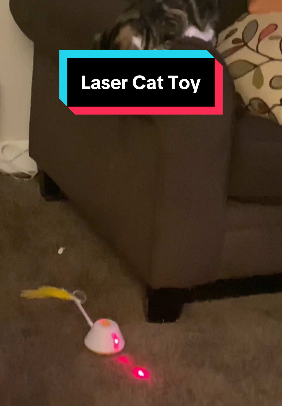 #cattoys #cattoyreview #cattoy #ladybosstanya #cats #cattok #giftsforcats #lasercattoy #catchristmas 