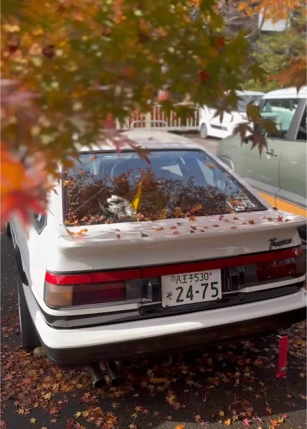 🍂🍁🍂^_^ #initialdedit #initialdedits #ae86 #initialdanime #initialdfan #initialdcar #initialdae86 #hachiroku #ae86trueno #timeattack #touge #eurobeat #animeedit #animesong #anime #cars #carsoftiktok #jdm #jdmcarsoftiktok #toyota  #supra #modified  #trending #fyp: #fyp #viral #foryou