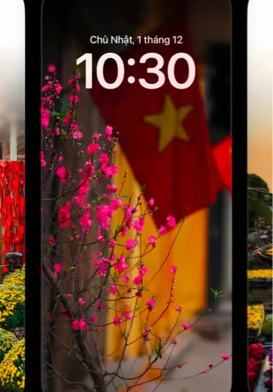 Hình nền Tết #wallpaper #hinhnen #tet2025 #tetnguyendan #iphone #saigon11203 