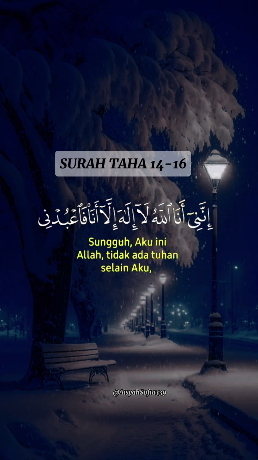 Surah Taha 14-16 . . . . . #quran #قران #قران_كريم #alquran #Allah #quran_alkarim #quranrecitation #islam #islamicreminder #xybca #foryou #fyp #4you #foryoupagee #fy 