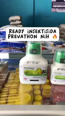 Insektisida Prevathon 50 SC 250 ML
