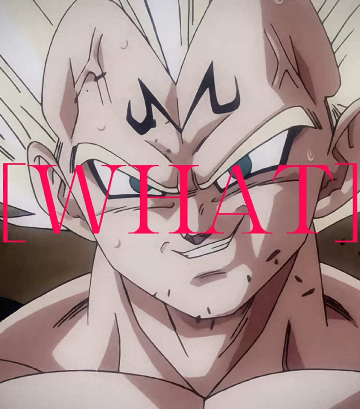 | Pride of a Prince | #vegeta #goku #dbz #dbs #dragonballz #dragonball #dragonballsuper #dbgt #db #fyp #foryou