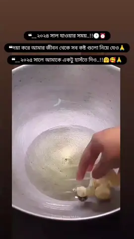 ২০২৫ সালে আমাকে একটু হাঁসতে দিও🤗😭😭🥰🥰🙏🙏🙏🙏😭😭😭#প্রবাসীর_বউ #foryou #vairal #video #tiktok #ইনশাআল্লাহ_যাবে_foryou_তে। #foryoupage #@☘️Jannatul☘️ @সাজিদ❤️সুমি @✈️🇸🇦👑Saidul Qeen👑🇸🇦✈️ @🇸🇦,Mobashir,🇸🇦 @Jannat @👑🦋𝙹𝚒𝚑𝚊𝚍ツ🦋👑 @সাজিদ❤সুমি @Khadija islam @❤️Mittha maya❤️ 