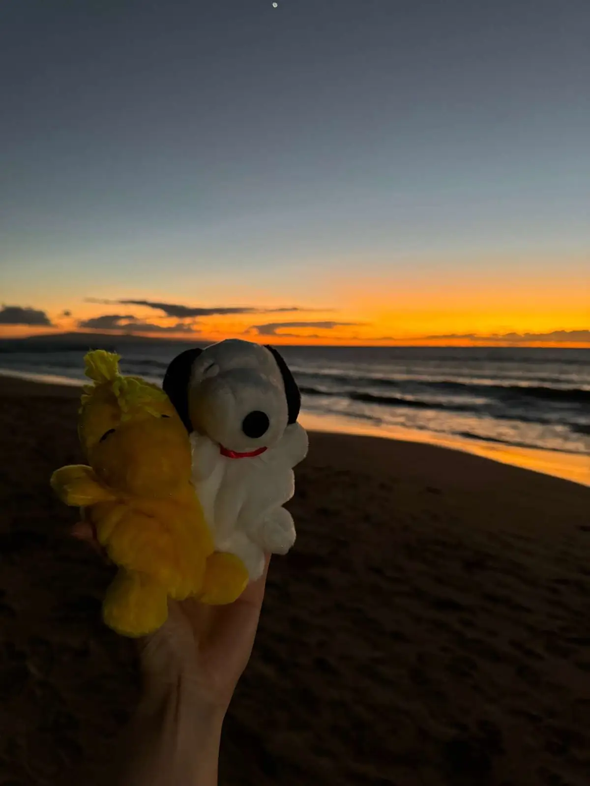 Sunset watching with you #mauihawaii #sunset #snoopy #snoopyandwoodstock #fyp