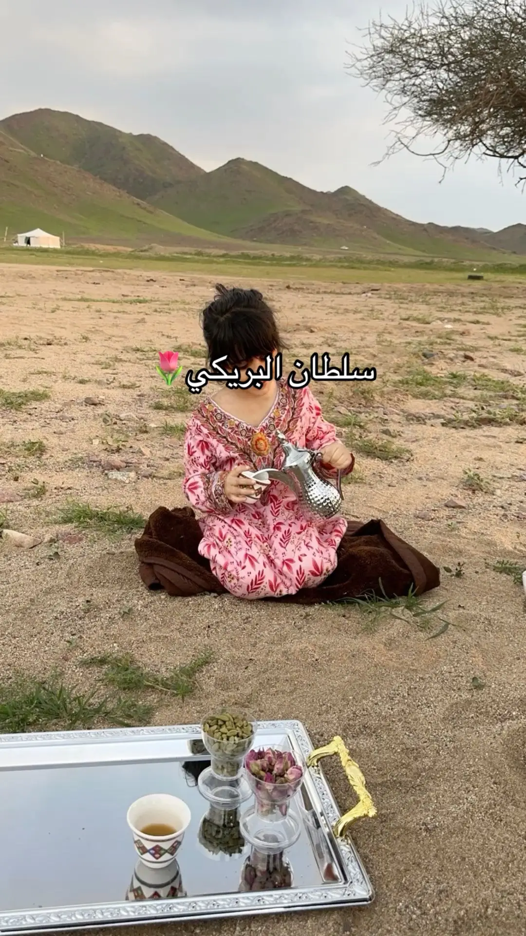 #شيلات #سلطان_البريكي #🌷 #اكسبلورexplore #foryou #fyp 