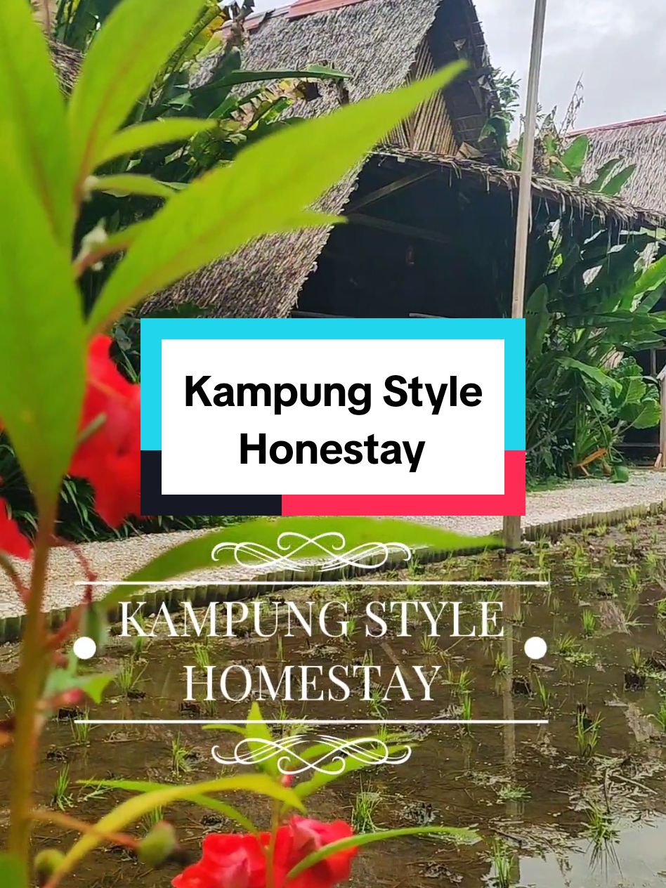 Honestay Kampung Style Homestay di sawah padi. Setiap unit ada pool, just nice for kids. Boleh memancing depan bilik. Basikal disediakan kalau nak ronda2.  📌TV 📌Aircond & kipas 📌Fridge 📌Air fryer 📌Bathroom wth heater #homestay #homestayreview #chalet 