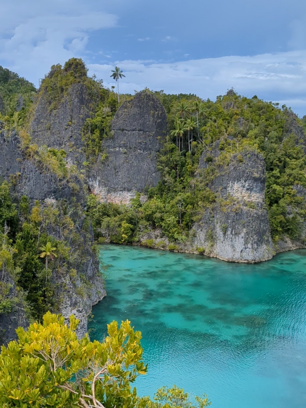 #telagabintang #rajaampat #papua 