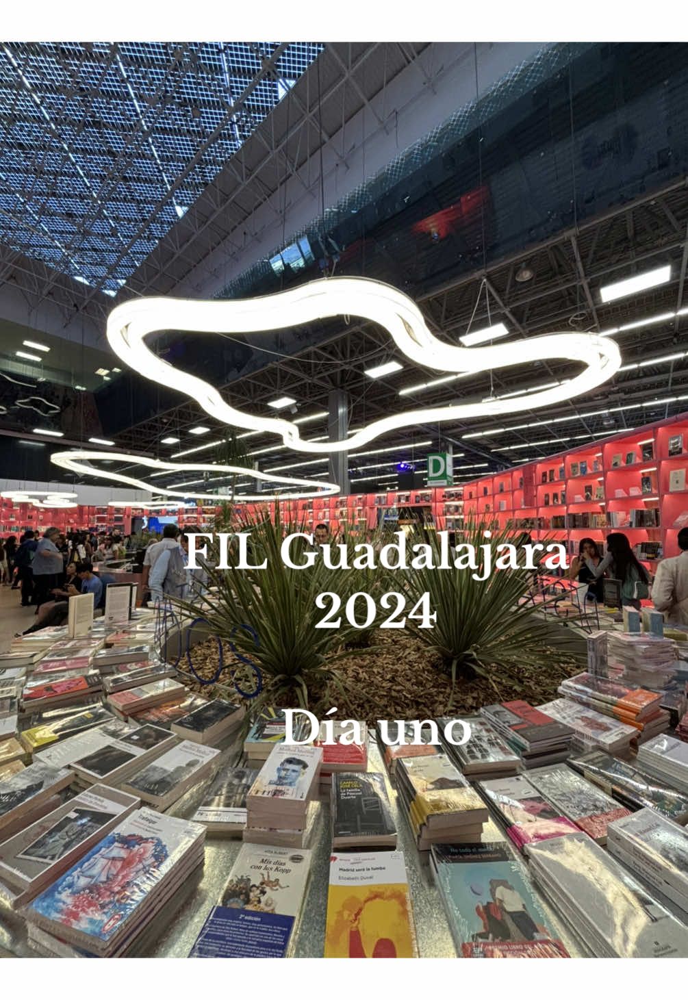 Primer día de la FIL Guadalajara por un Ricardo   #FIL #filguadalajara #fil2024 #expoguadalajara #Libros #citasciegasconunlibro #somoslectores #marianapalova #lanaciondelasbestias 