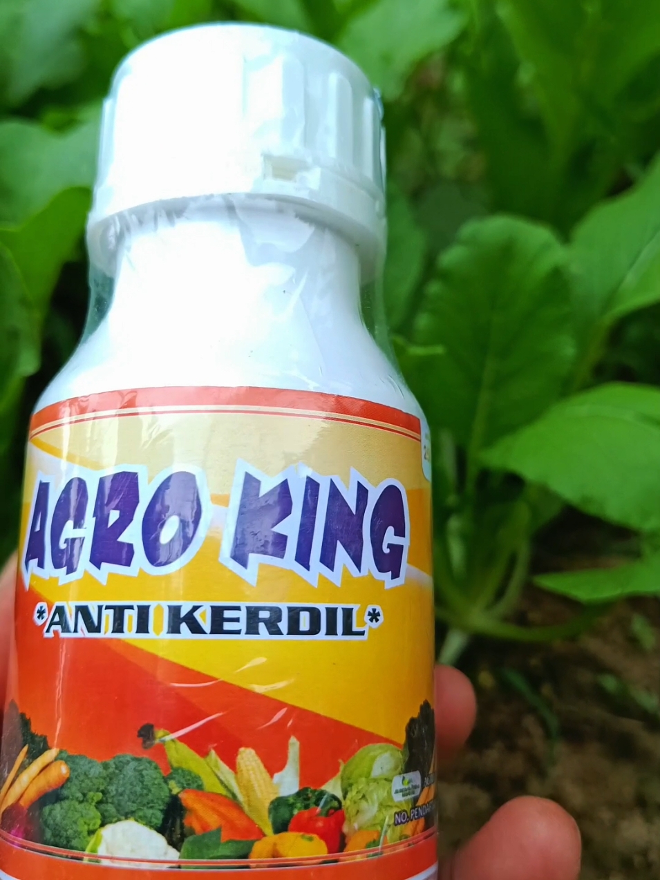 Agro king anti kerdil andalan para petani Cerdas yang ingin hasil panen maksimal,,