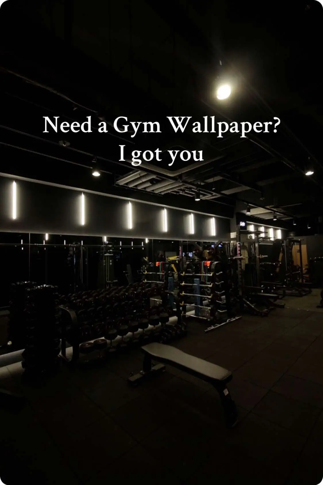 You can find them on pinterest by typing „Dark gym wallpapers“ #gymwallpapers #gym #GymTok #gymmotivation #gymrat 