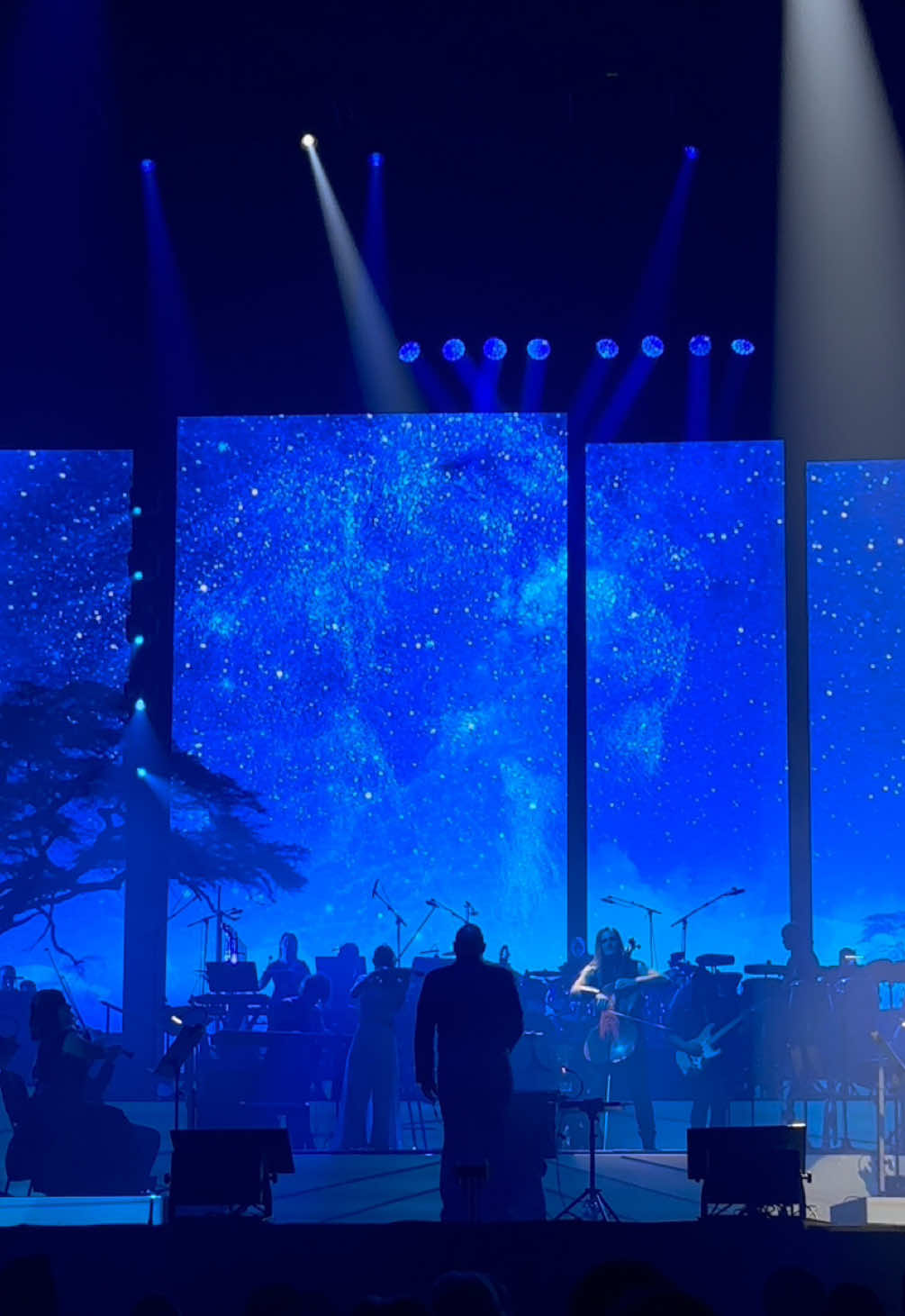 The world of Hans Zimmer, Nice 30.11.24 #TheLionKing #Disney #Concert #HansZimmer #Live #Instrumental #WorldOfHansZimmer #HansZimmerMusic #DisneyMovie #Masterpiece 