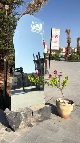 الروح  برفقة من نُحب في رِحاب🤍🤍. #اكسبلور #tiktok #ترند #المدينه_المنوره #المسجد_النبوي #تقميرة #مسجد_قباء 