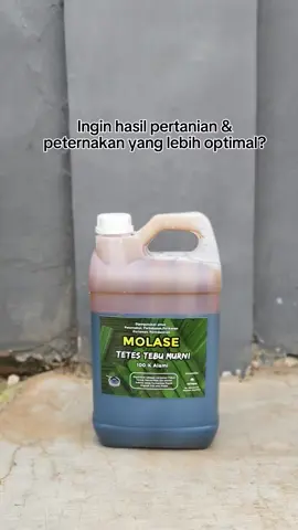 Molase tetes tebu, solusi yg tepat untuk para peternak & petani. Bisa digunakan sbgai activator probiotik EM4. Pesan sekarang hanya di YSFarm! #molases 