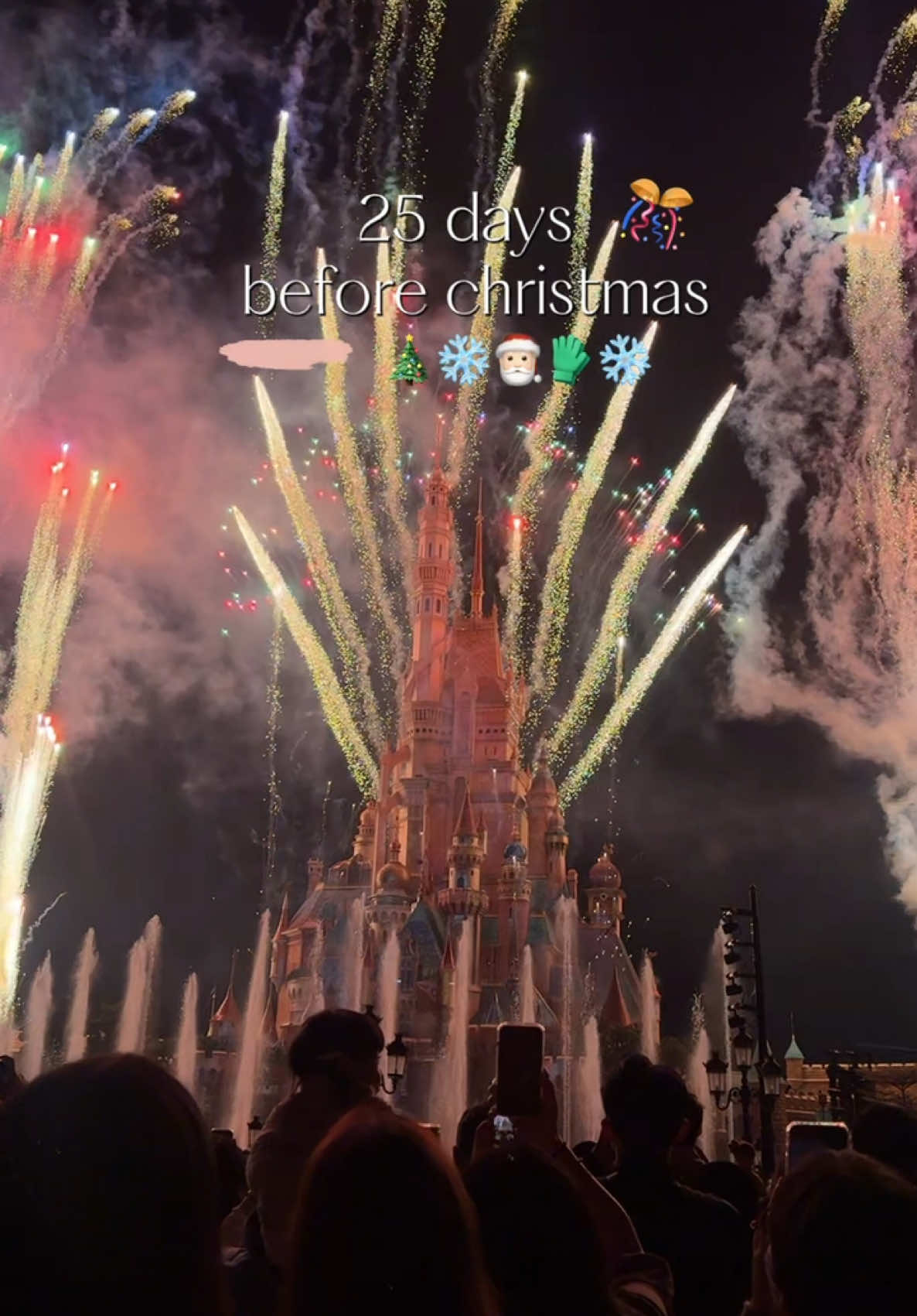 Only 25 days until christmas เทศกาลที่รอคอยของทุกปี🎄🎅🏻❄️🧣🎡🎇  #christmas #christmascountdown #hongkongdisneyland 