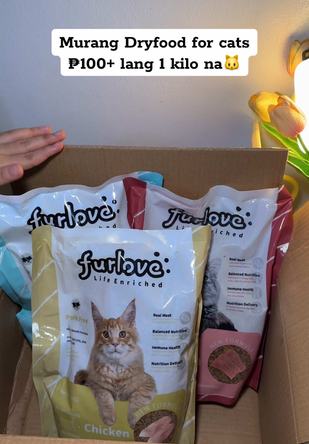 Murang Dryfood for cats ₱100+ lang 1 kilo na🐱 #catfood #wetfood #cat #catlover #furlove #affordablecatfood #cattreats #pagkainngpusa #trending #viral #meat #smoothjelly #dryfood #nosodium #porkfree #dryfoodforcats 