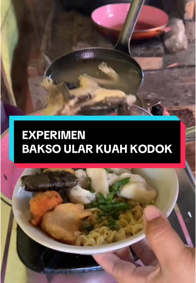 Eksperimen bakso Ular kuah Kodok📖Strategisikecil📖klik fizzo untuk cari (Strategisikecil) #fizzodrama #fizzoid #strategisikecil #masak #eksperimen #makan #menu 