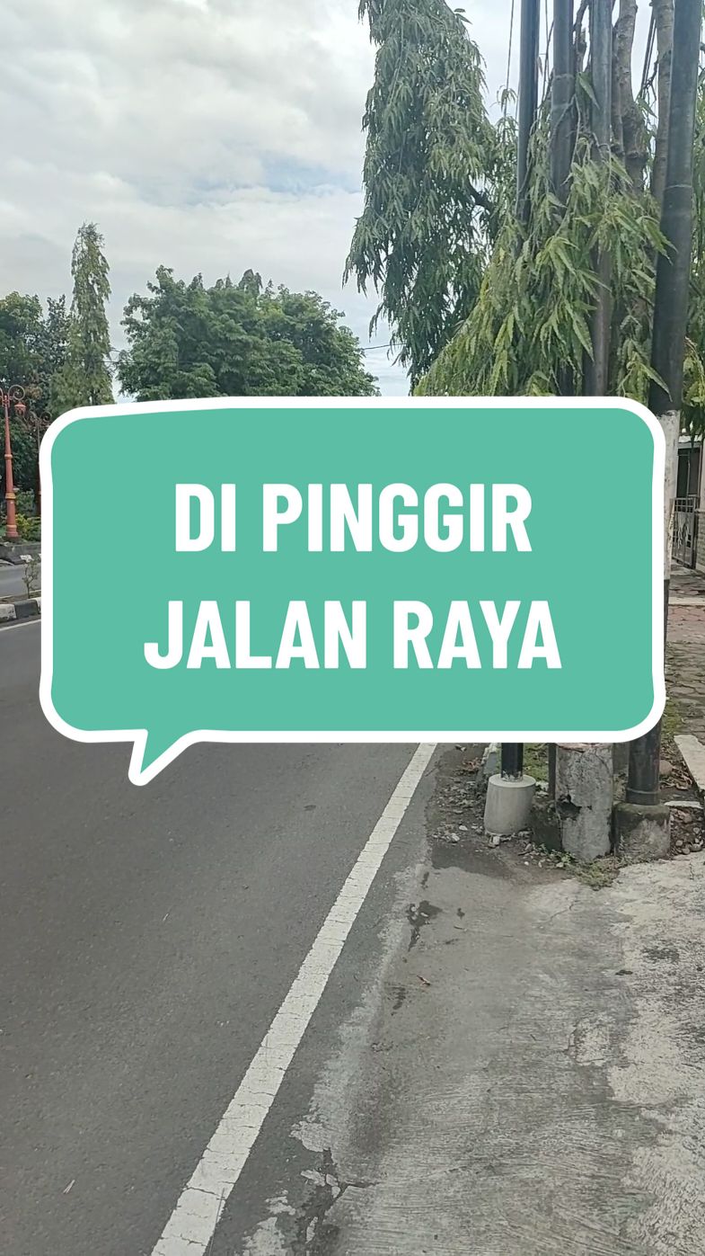di pinggir jalan raya #mobil #dijalan #prankvideo #bahanswmu #polosanvideo #mentahanvideo #asmr #lampumerah #motor 