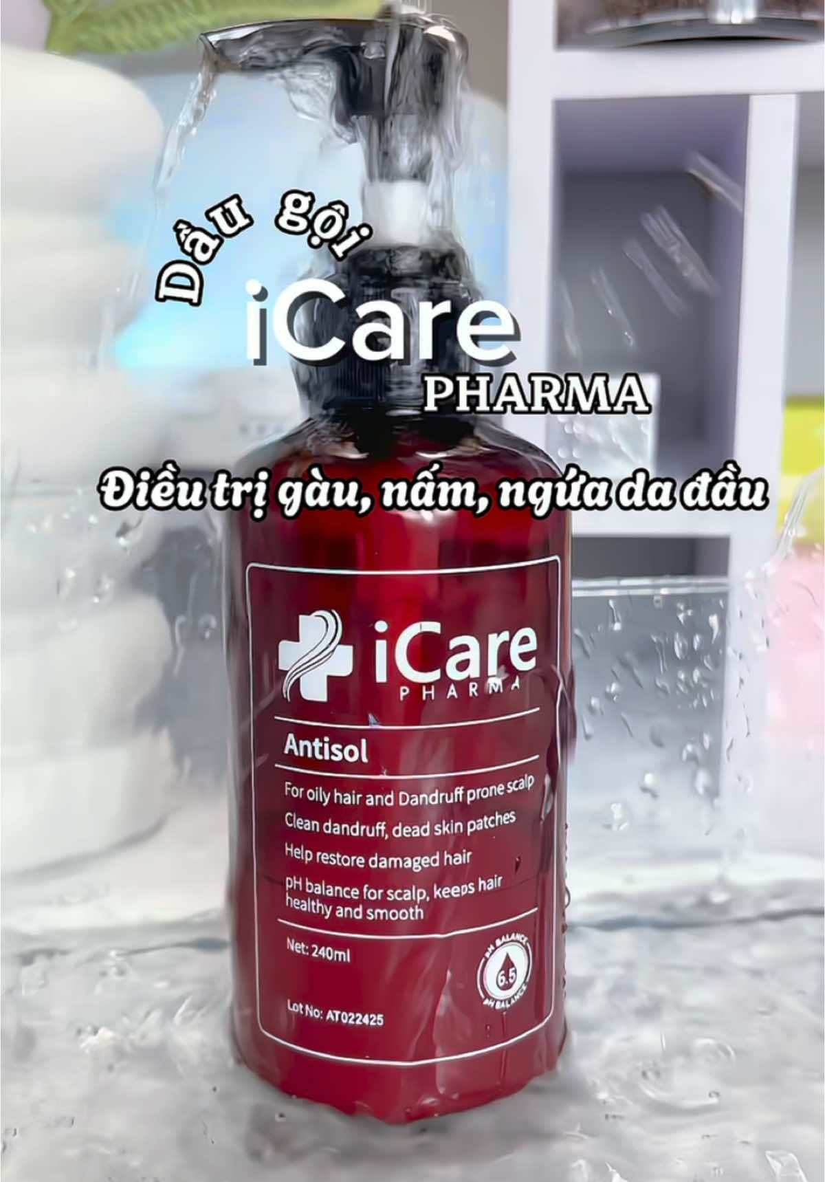 Bạn đang cần tìm sản phẩm trị gàu, nấm, ngứa da đầu. Thì iCere là lựa trọn đáng để dùng thử #icare #icarepharma #daugoiicare #daugoitrigau #daugoitrinamnguadadau #reviewlamdep 