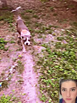 #Badneighbor #copsoftiktok #police #viralvideo #foryou #vlogS #funnyvideos #fyp #funnyvideoscomedy #cop #thinblueline #cops #policeofficer #karen #karens #karensgoingwild #karensgonewild #becomingbadneighbor #lotsamoneynobrain #richandpowerfull