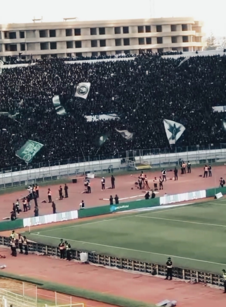 Poznan dance supporters and singing together, 𝐑𝐚𝐣𝐚 𝐂𝐚𝐬𝐚𝐛𝐥𝐚𝐧𝐜𝐚 ambience! 🟢⚪⚫ sc : @kurvamagana | #raja #casablanca #1949 