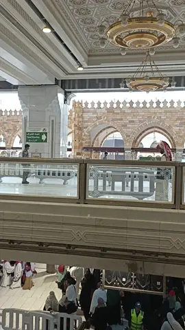 masuknya lewat pintu 79 / king faht gate. kita langsung turun melalui eskalator trus bisa memandang Ka'bah sepuasnya  gak perlu sholat tahiyatal masjid tapi kita ganti dengan thowaf 7 putaran. masha Allah... Tabarakallah  Semangat pejuang baitullah 💪🕋💕🥰 #fyp  #fypp  #fypシ゚  #fypシ゚viral  #foryoupage  #2024  #catatanhaji  #masjidilharam  #makkah 