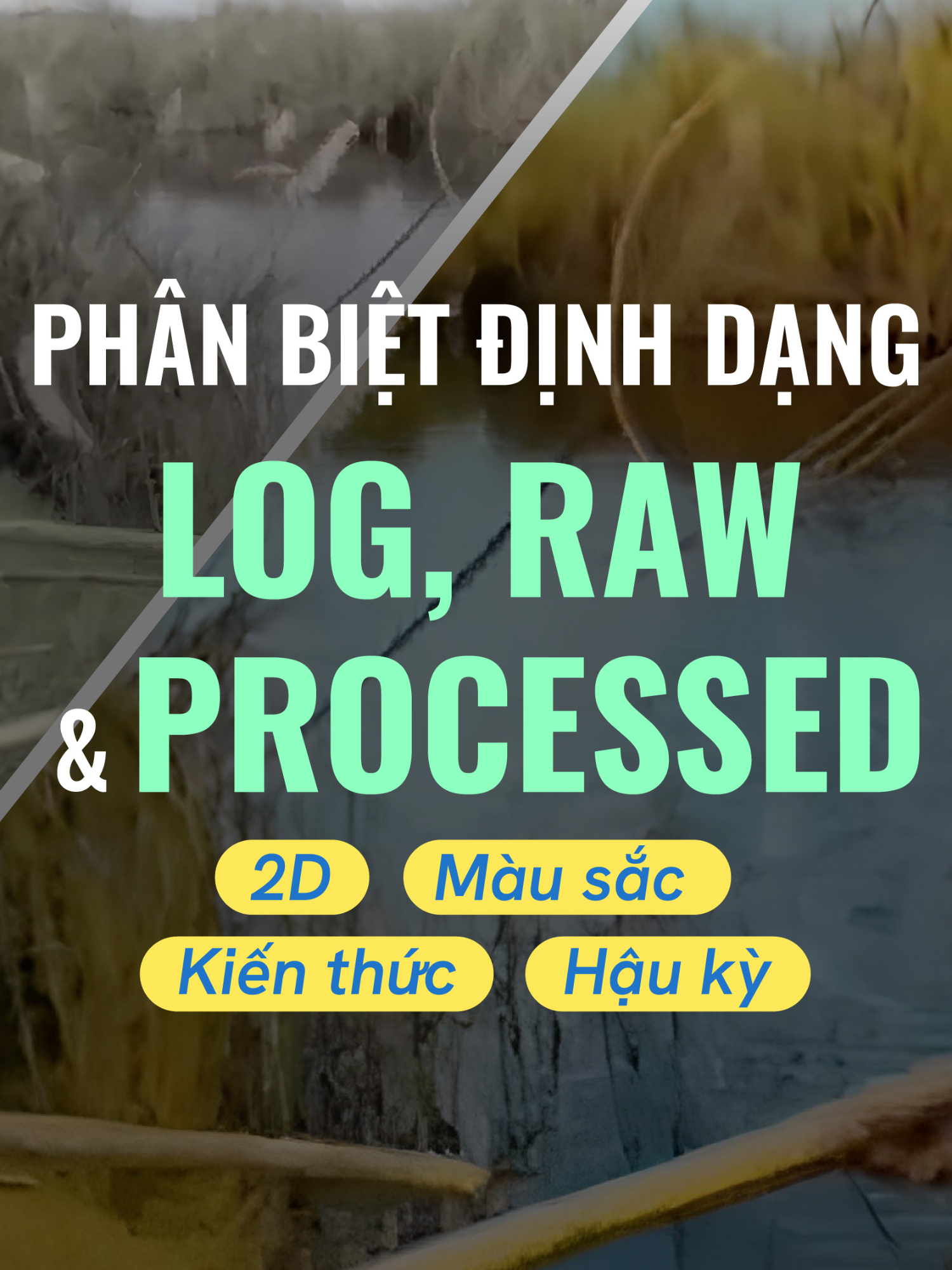 Phân biệt định dạng Log, raw và Processed #cins #3d #2d #color #log #raw #processed  #photo #LearnOnTikTok