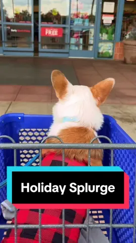 Just a little holiday splurgin’ #corgisoftiktok #holidayshopping #petsmart #corgitok #dogtok #tistheseason #christmasshopping #cutecorgi 