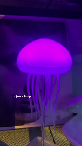 No its nit🪐🌒🌎 #TikTokShop#blackfriday #blackfridaydeals #blackfridaysalenightlight#fyp#satisfying#aesthetic#foryou #fy#fyp#lighting#homedecor#interiordesign#vibes #nigthvibes #homevibes#jellyfish #jellyfishlamp 