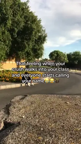 That feeling
